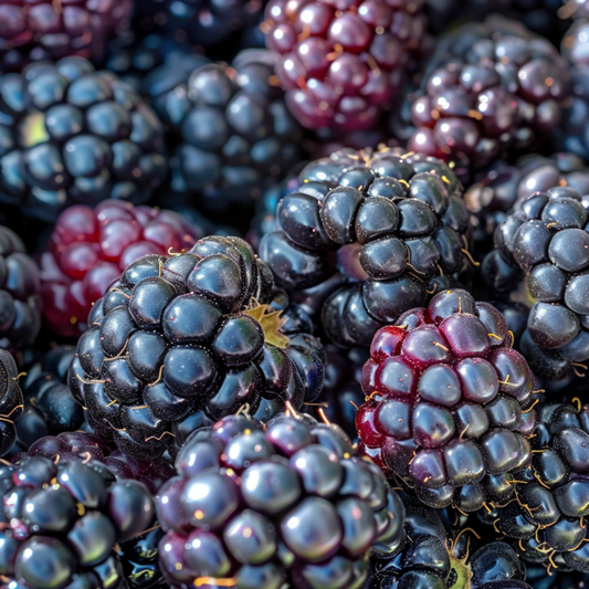 Brazos Blackberry