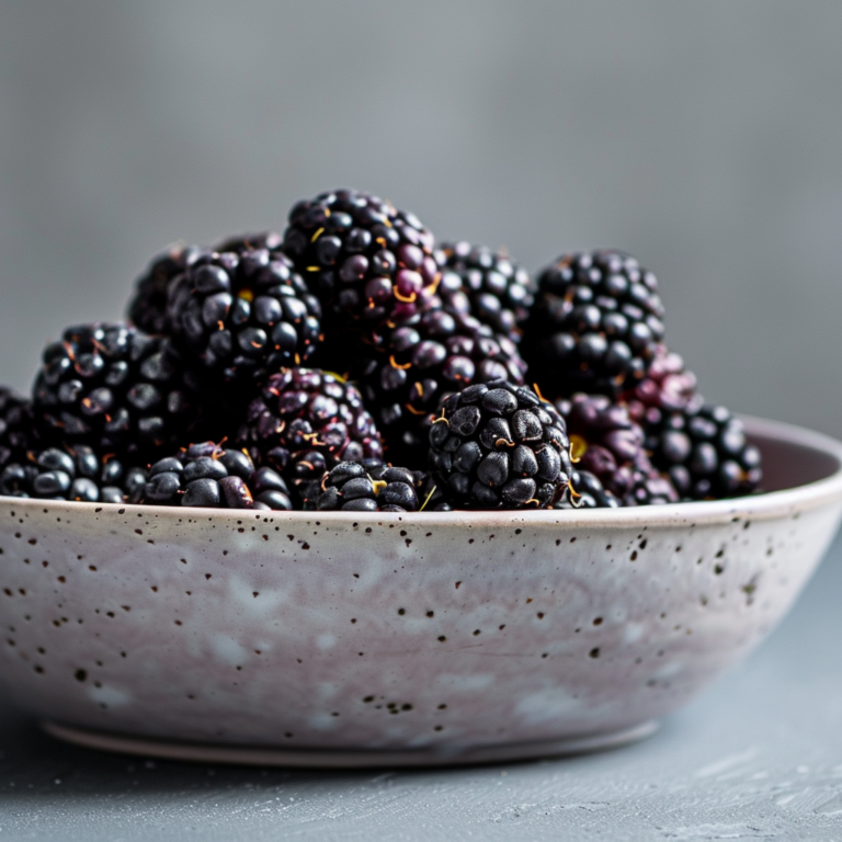 Cherokee Blackberry Bush